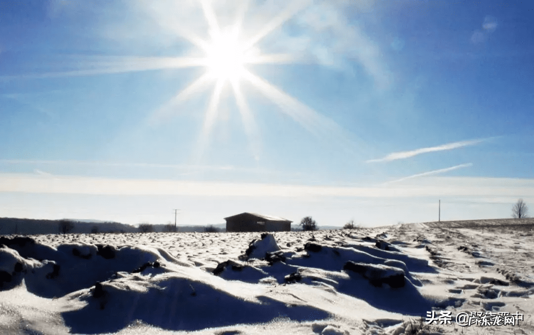 寒气重的人怎么调理 下体寒气重怎么办