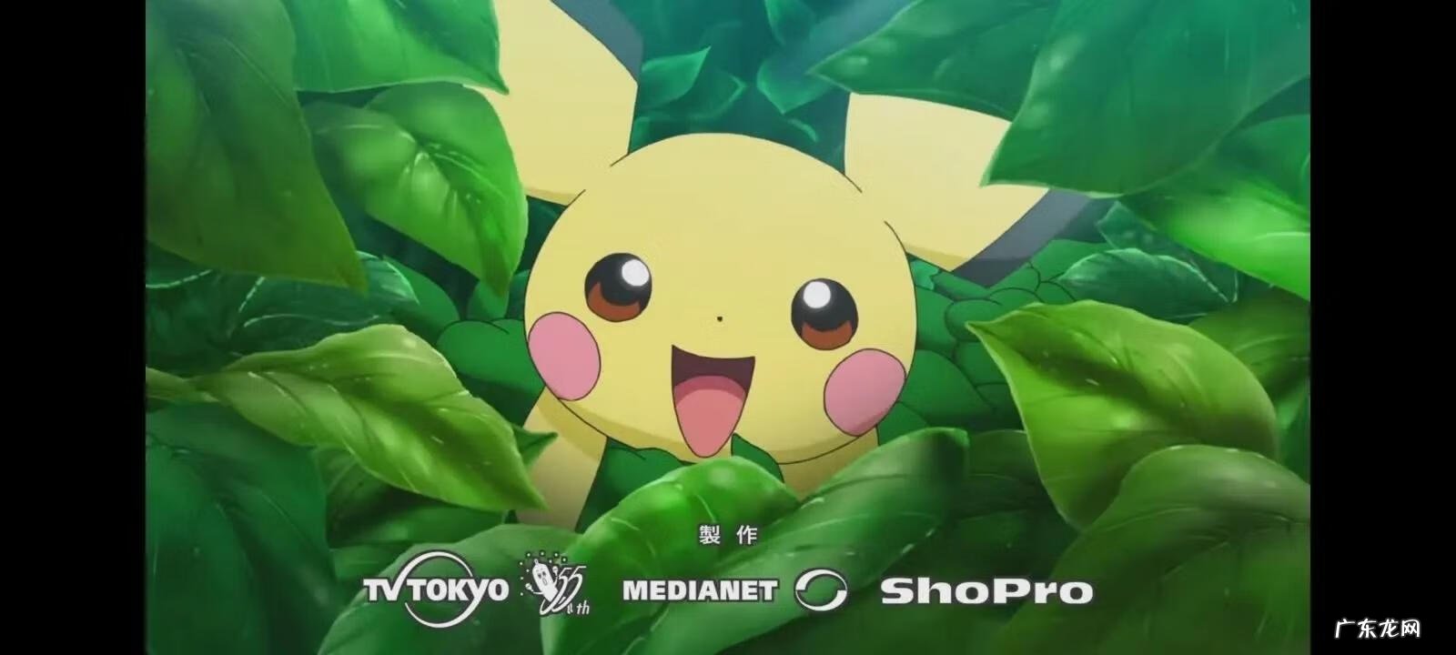 皮卡丘进化过程 皮卡丘进化顺序