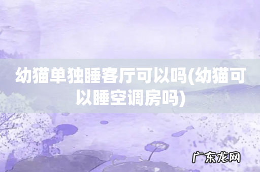 幼猫可以睡空调房吗 幼猫单独睡客厅可以吗