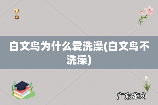 白文鸟不洗澡 白文鸟为什么爱洗澡
