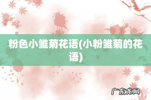 小粉雏菊的花语 粉色小雏菊花语