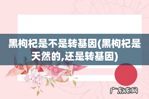 黑枸杞是天然的,还是转基因 黑枸杞是不是转基因
