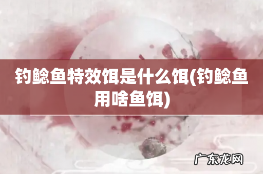 钓鲶鱼用啥鱼饵 钓鲶鱼特效饵是什么饵