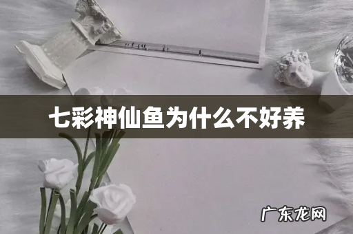 七彩神仙鱼为什么不好养