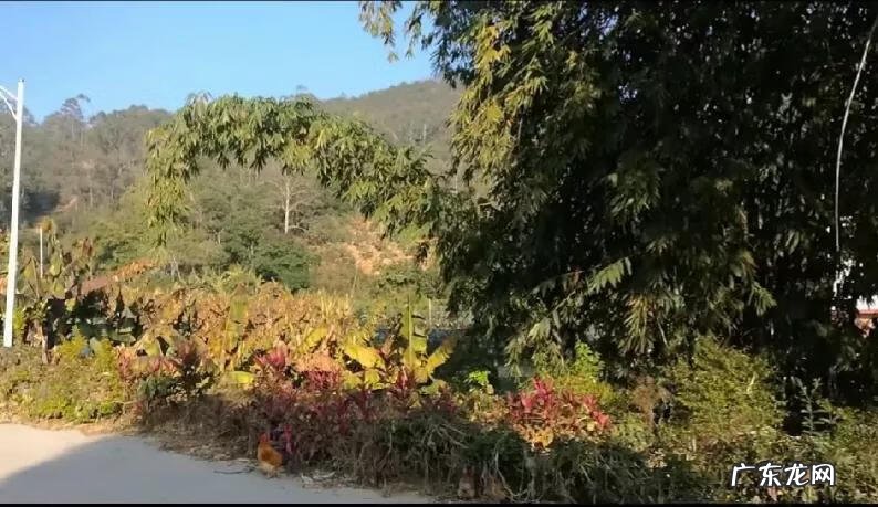 你们都有请风水先生吗 实拍农村人请风水先生