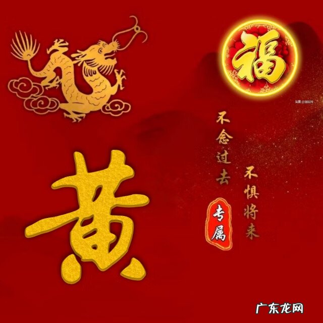 龙图腾纹身图案 龙图腾背景图