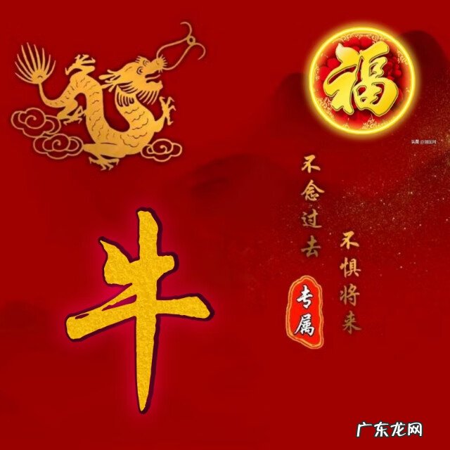 龙图腾纹身图案 龙图腾背景图