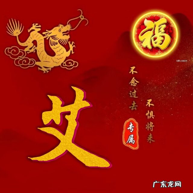 龙图腾纹身图案 龙图腾背景图