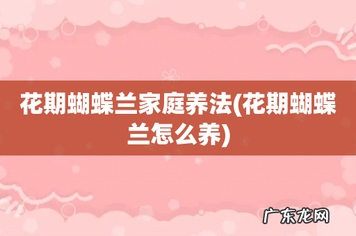 花期蝴蝶兰怎么养 花期蝴蝶兰家庭养法