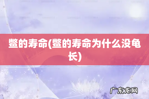 鳖的寿命为什么没龟长 鳖的寿命