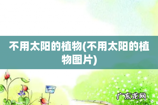 不用太阳的植物图片 不用太阳的植物