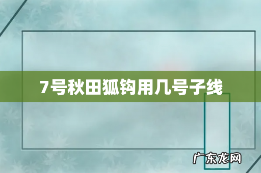 7号秋田狐钩用几号子线