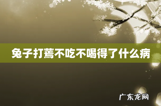 兔子打蔫不吃不喝得了什么病