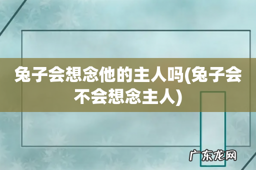 兔子会不会想念主人 兔子会想念他的主人吗