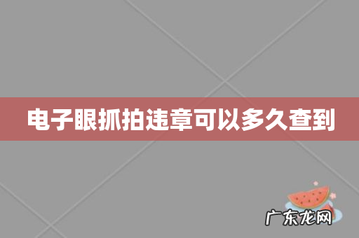 电子眼抓拍违章可以多久查到