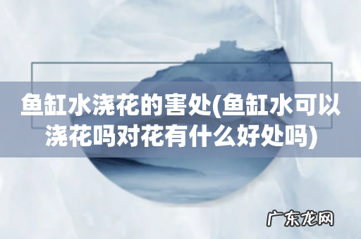 鱼缸水可以浇花吗对花有什么好处吗 鱼缸水浇花的害处