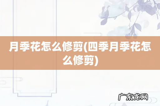 四季月季花怎么修剪 月季花怎么修剪