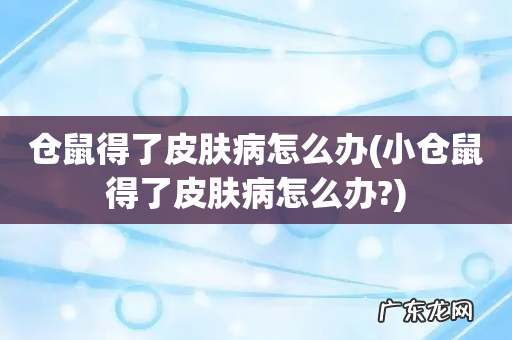 小仓鼠得了皮肤病怎么办? 仓鼠得了皮肤病怎么办