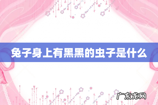 兔子身上有黑黑的虫子是什么