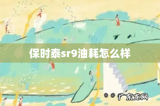 保时泰sr9油耗怎么样