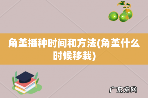 角堇什么时候移栽 角堇播种时间和方法