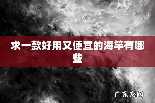 求一款好用又便宜的海竿有哪些