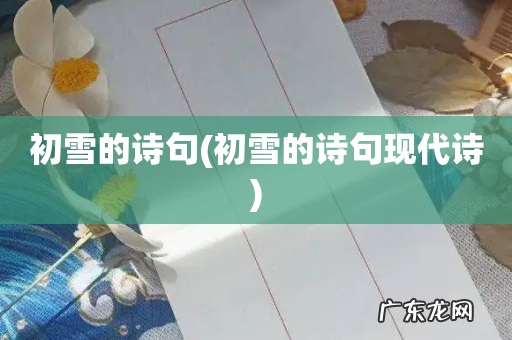 初雪的诗句现代诗 初雪的诗句