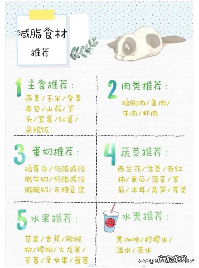 减肥表格模板简单 减肥计划表格式