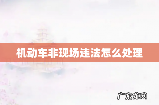 机动车非现场违法怎么处理