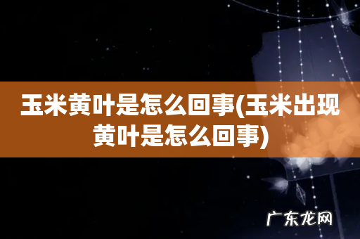 玉米出现黄叶是怎么回事 玉米黄叶是怎么回事