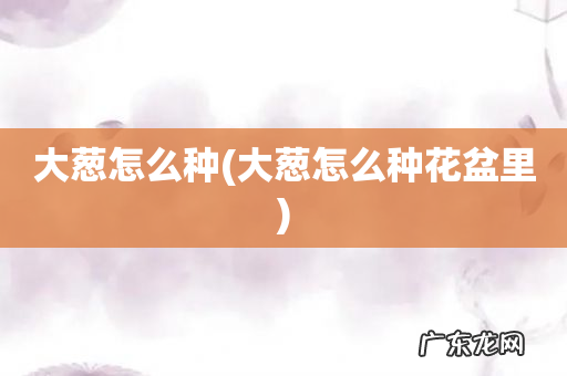 大葱怎么种花盆里 大葱怎么种