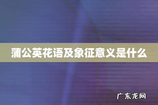 蒲公英花语及象征意义是什么
