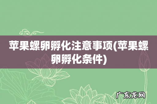 苹果螺卵孵化条件 苹果螺卵孵化注意事项