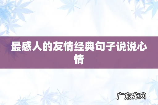 最感人的友情经典句子说说心情