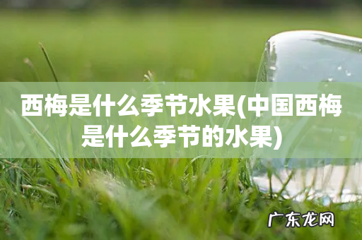 中国西梅是什么季节的水果 西梅是什么季节水果