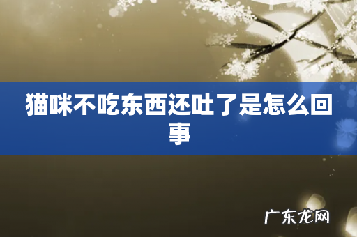 猫咪不吃东西还吐了是怎么回事