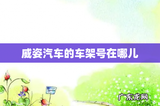 威姿汽车的车架号在哪儿