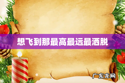 想飞到那最高最远最洒脱