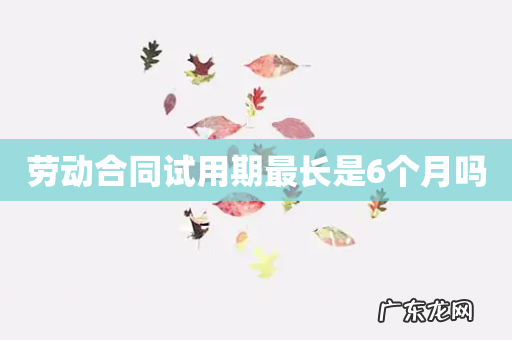 劳动合同试用期最长是6个月吗