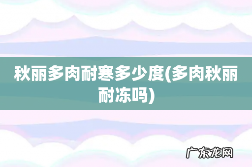 多肉秋丽耐冻吗 秋丽多肉耐寒多少度