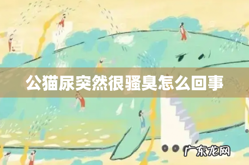 公猫尿突然很骚臭怎么回事