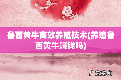 养殖鲁西黄牛赚钱吗 鲁西黄牛高效养殖技术