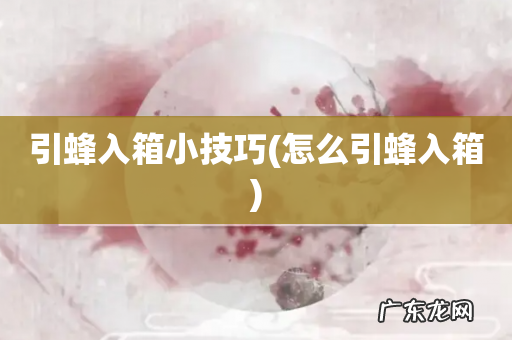怎么引蜂入箱 引蜂入箱小技巧