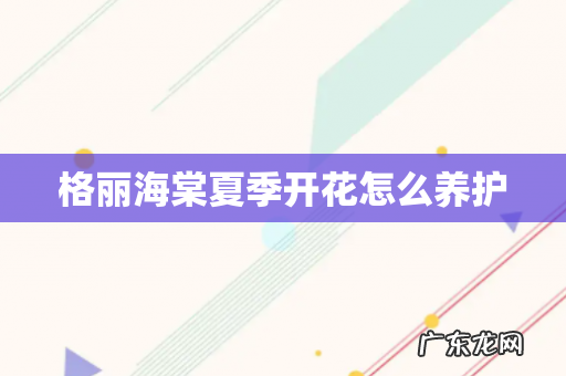 格丽海棠夏季开花怎么养护