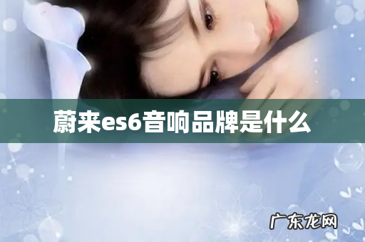 蔚来es6音响品牌是什么