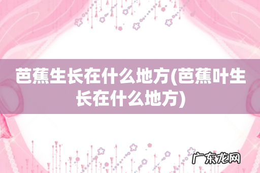 芭蕉叶生长在什么地方 芭蕉生长在什么地方