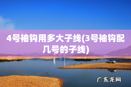 3号袖钩配几号的子线 4号袖钩用多大子线