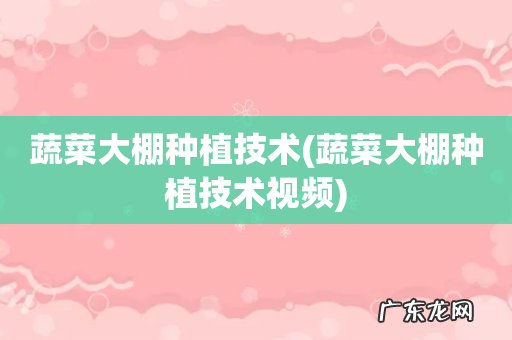 蔬菜大棚种植技术视频 蔬菜大棚种植技术