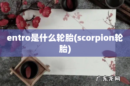 scorpion轮胎 entro是什么轮胎