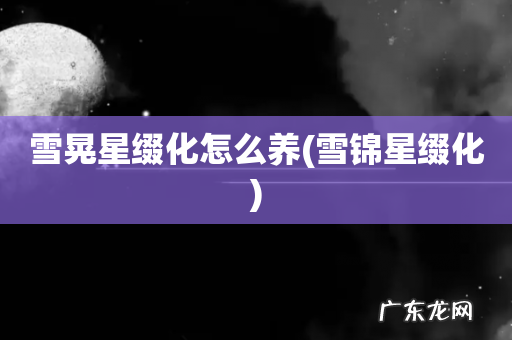 雪锦星缀化 雪晃星缀化怎么养